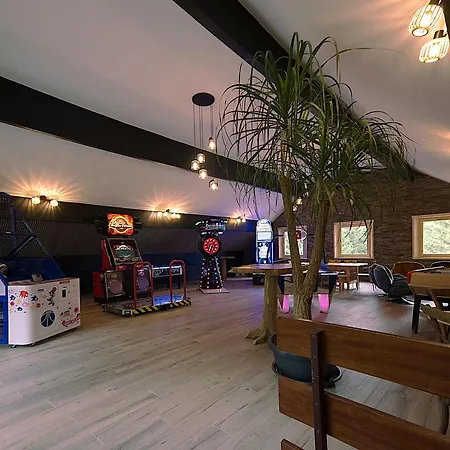 Familial Avec Salle De Jeux Et Spa, Près De Gérardmer, Pour 15 Pers. - Fr-1-589-647 Hébergement de vacances *