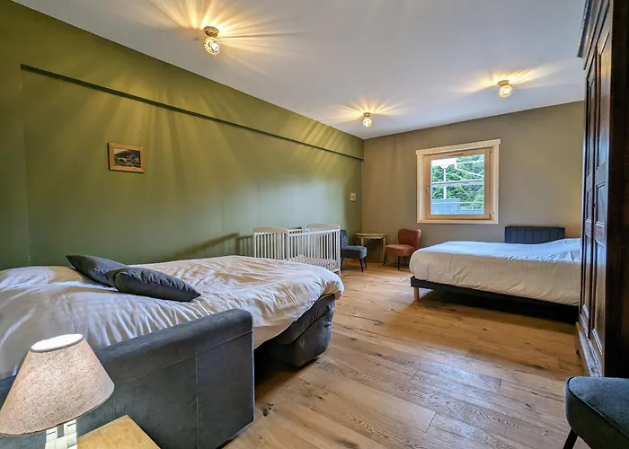 Familial Avec Salle De Jeux Et Spa, Pres De Gerardmer, Pour 15 Pers. - Fr-1-589-647 Prázdninový dům