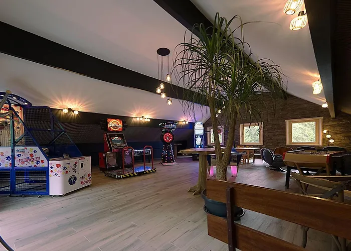 Familial Avec Salle De Jeux Et Spa, Pres De Gerardmer, Pour 15 Pers. - Fr-1-589-647 Prázdninový dům *